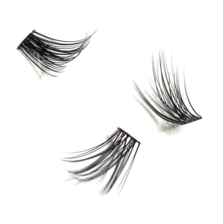 Lash Segments