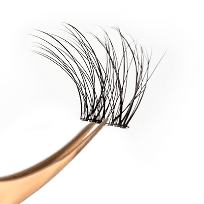 Lash Applicator